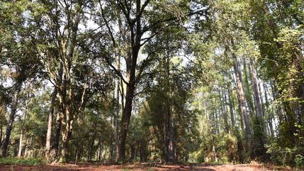 Property for sale in Putnam County, Florida