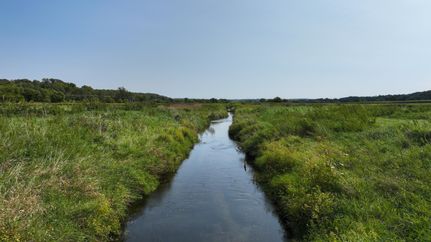 Property for sale in Green County, Wisconsin