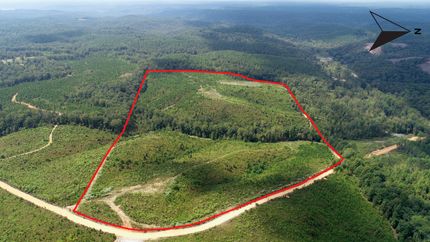 Property for sale in Lauderdale County, Alabama