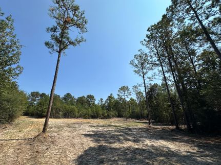 Property for sale in Clarke County, Alabama