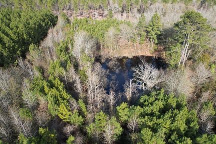 Undeveloped Land for sale in Shelby County, Texas