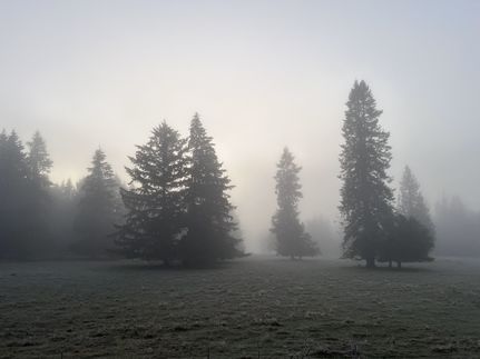 Riverfront Property for sale in Thurston County, Washington