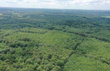 Property in Livingston County, Kentucky