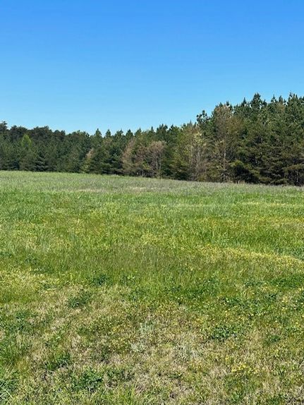 Undeveloped Land for sale in Pittsylvania County, Virginia