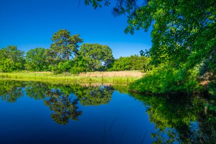 Ranch Property for sale in Cass County, Texas