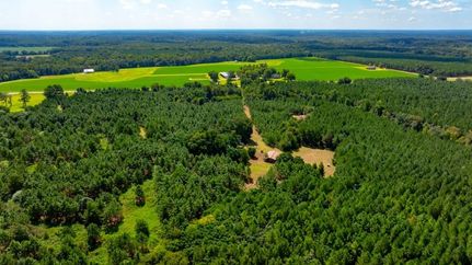 Timberland Property for sale in Laurens County, Georgia