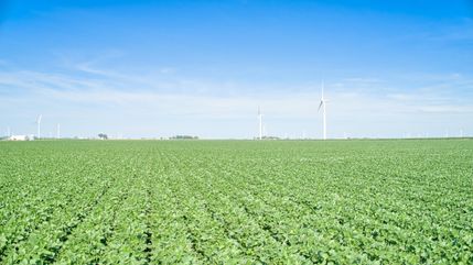 Property in Obrien County, Iowa