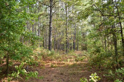Ranch Property for sale in Nacogdoches County, Texas