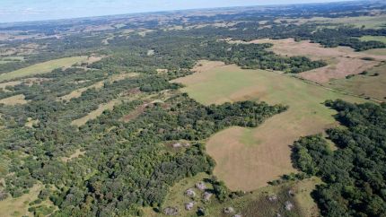 Undeveloped Land for sale in Knox County, Nebraska