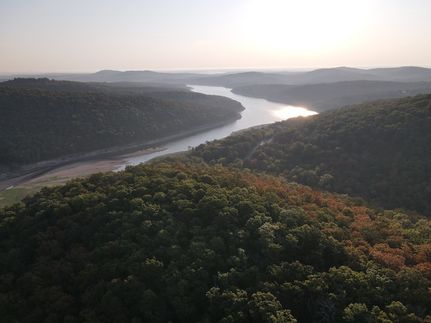 Timberland Property for sale in Marion County, Arkansas