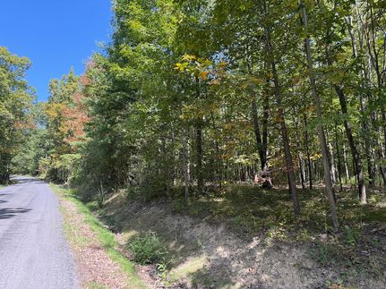 Property for sale in Chemung County, New York