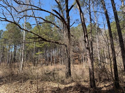 Property for sale in Lamar County, Alabama