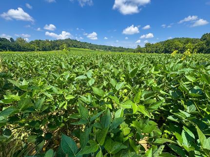 Farm Property for sale in Scioto County, Ohio