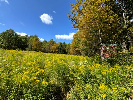 Property in Chenango County, New York