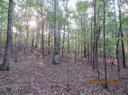 Recreational Property for sale in Cullman County, Alabama
