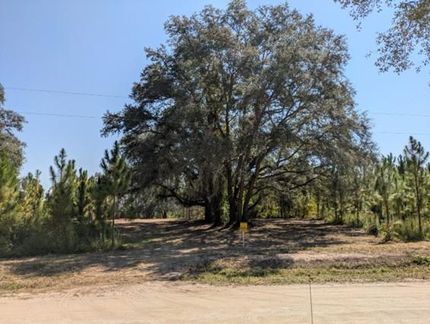 Undeveloped Land for sale in Columbia County, Florida
