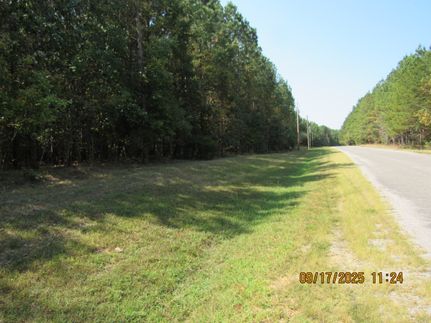 Property for sale in Winston County, Alabama