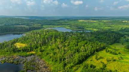 Hunting Land for sale in Bottineau County, North Dakota