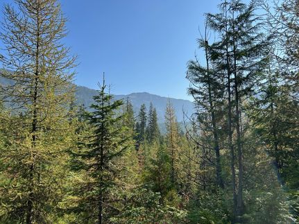 Property for sale in Bonner County, Idaho