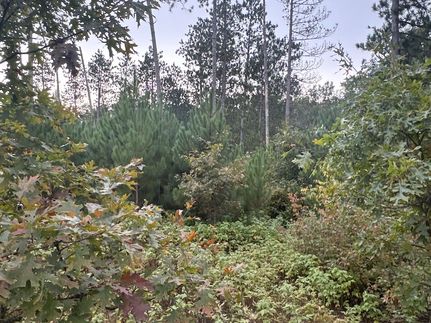 Property for sale in Burnett County, Wisconsin