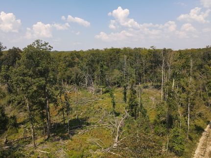 Property for sale in Drew County, Arkansas