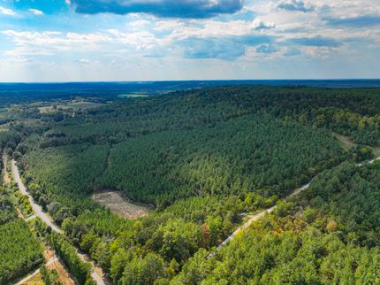 Property for sale in Livingston County, Kentucky