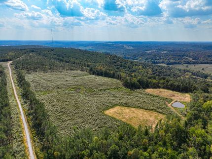 Property for sale in Livingston County, Kentucky