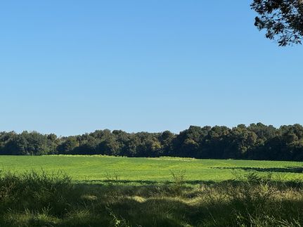 Property for sale in Baker County, Georgia