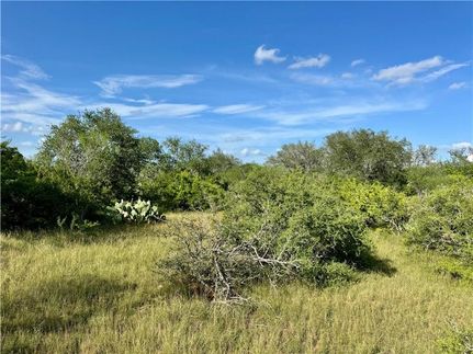 Ranch Property for sale in Bee County, Texas