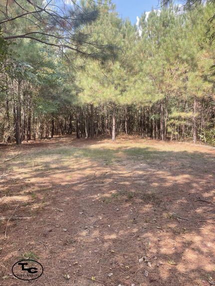 Undeveloped Land for sale in Jefferson County, Alabama