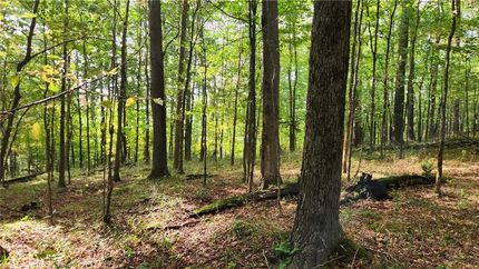 Undeveloped Land for sale in Cattaraugus County, New York