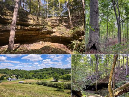 Undeveloped Land for sale in Meigs County, Ohio