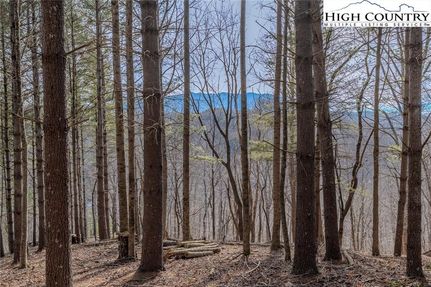 Riverfront Property for sale in Ashe County, North Carolina