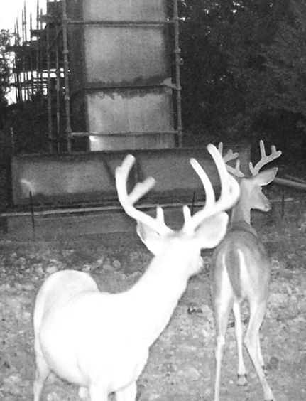 Property for sale in Edwards County, Texas