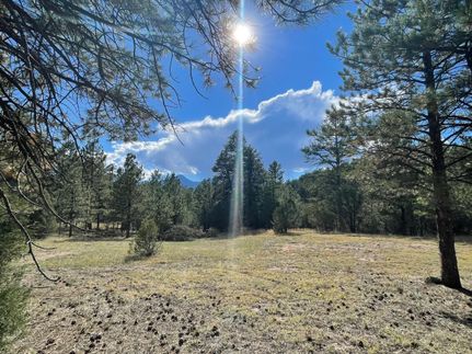 Property for sale in Custer County, Colorado