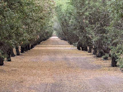 Property for sale in Stanislaus County, California