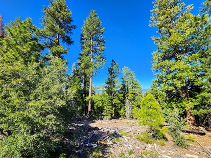Undeveloped Land for sale in Modoc County, California