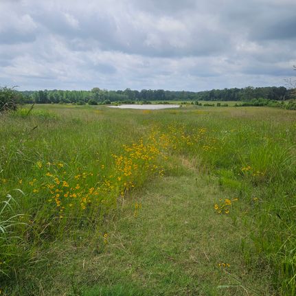 Undeveloped Land for sale in Hinds County, Mississippi
