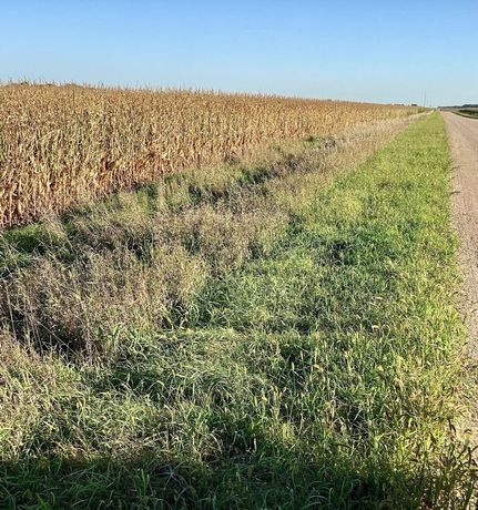 Property for sale in Chippewa County, Minnesota