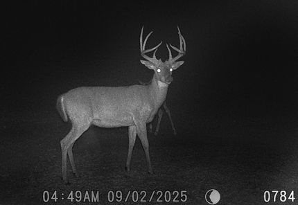 Residential Property for sale in Howard County, Missouri