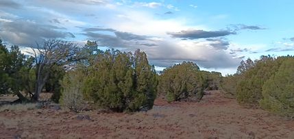 Hunting Land for sale in Apache County, Arizona