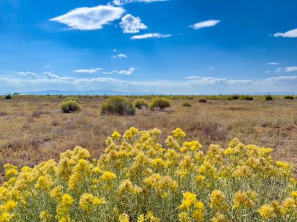 Property for sale in Alamosa County, Colorado