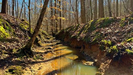 Property for sale in Elbert County, Georgia