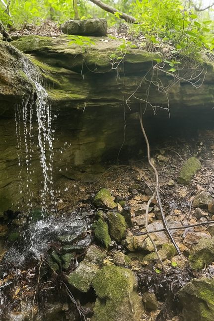 Undeveloped Land for sale in Wright County, Missouri