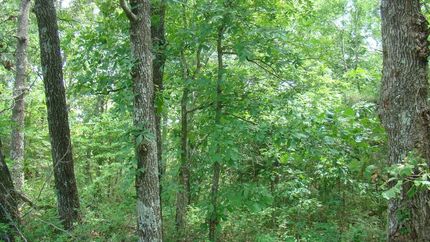 Property for sale in Howell County, Missouri