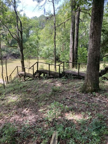 Property for sale in Clarke County, Alabama