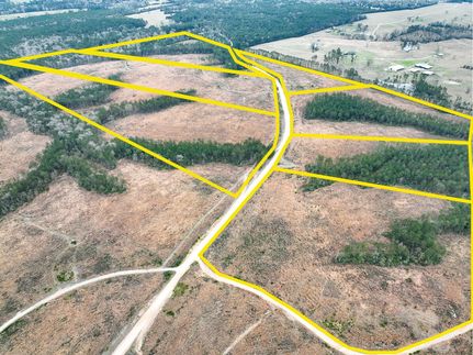 Undeveloped Land for sale in Polk County, Texas