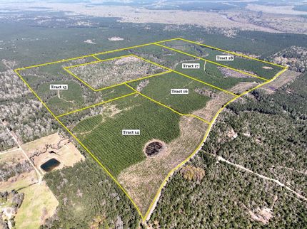 Property for sale in Tyler County, Texas