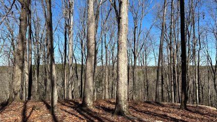 Property for sale in Banks County, Georgia