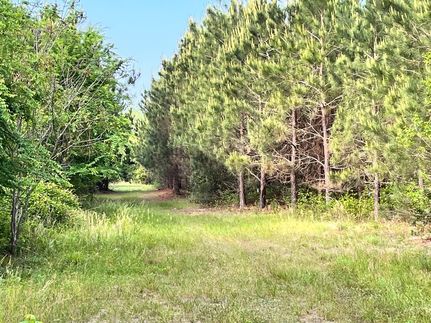 Property for sale in Laurens County, Georgia